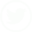 twitter icon